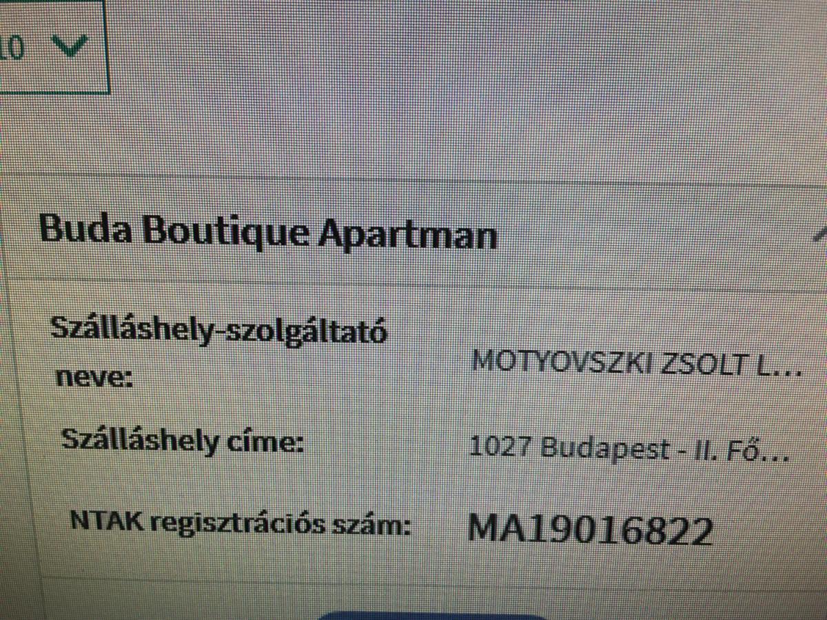 Buda Boutique Apartment 布达佩斯 外观 照片